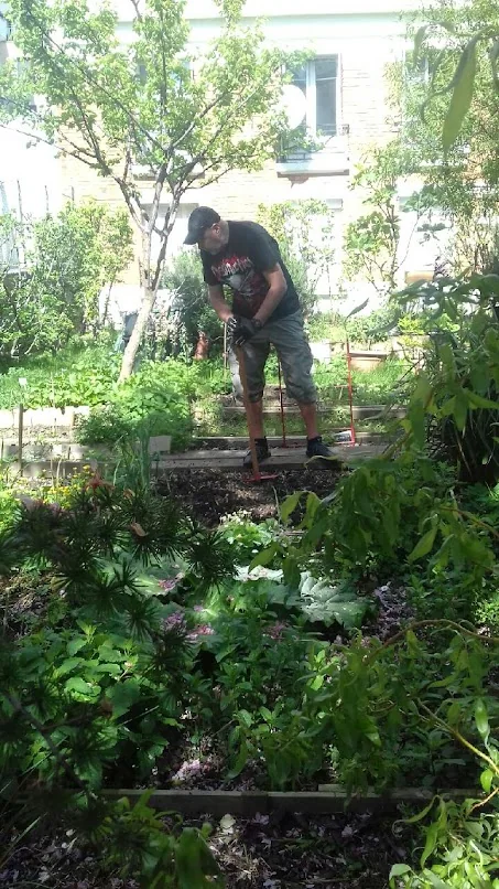 Une personne travaille une parcelle entre des plantes et des arbres.